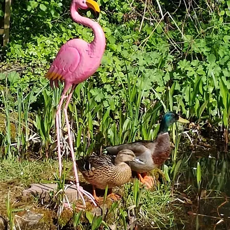 Kl. Im Gruenen, N. S-bahn *