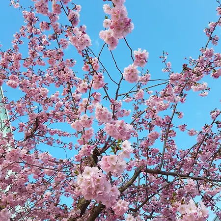 Kl. Im Gruenen, N. S-bahn Διαμέρισμα Στουτγκάρδη